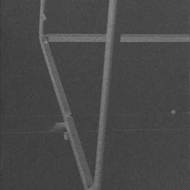 Self-Portrait / Tractor